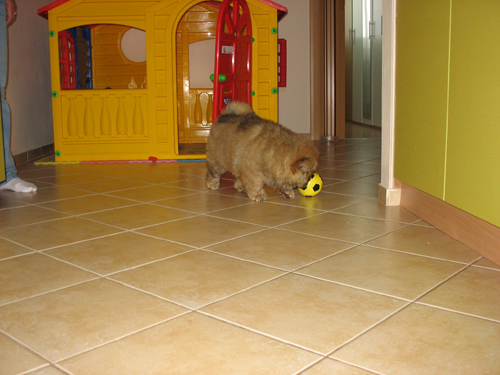 IMG_9463.jpg