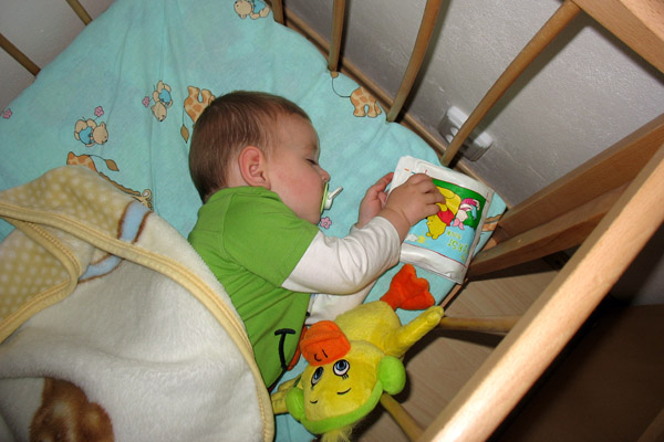IMG_0450a.jpg