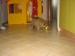 IMG_9463.jpg